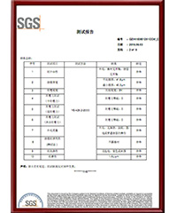 SGS Test Report