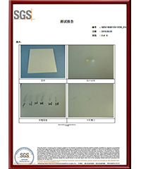 SGS Test Report