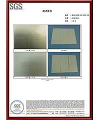 SGS Test Report